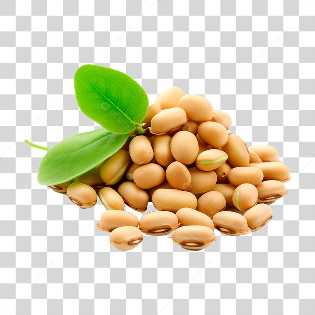 Grãos de Soja PNG Transparente