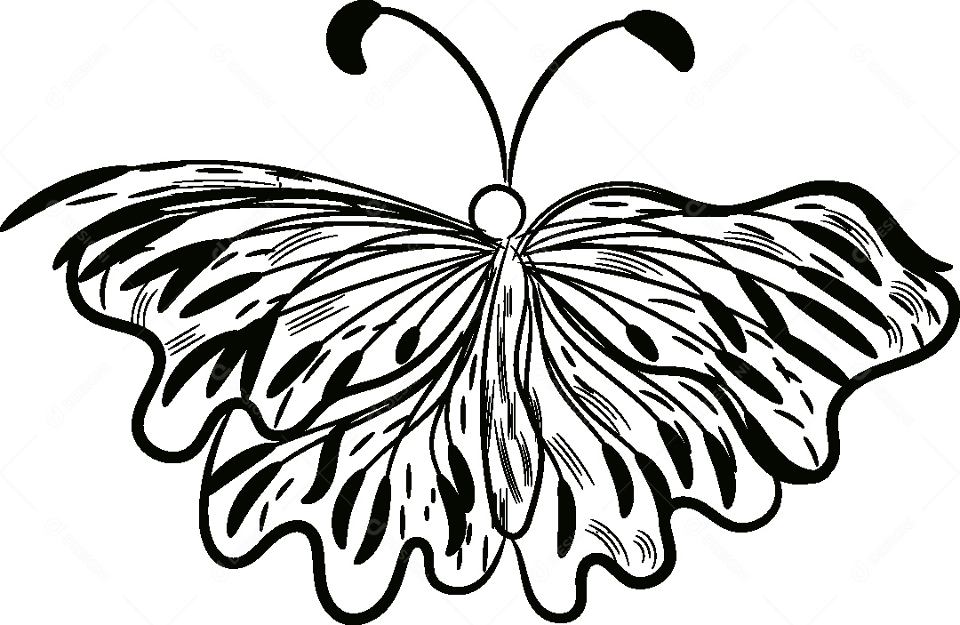 Desenhos de Borboleta Feito a Mão Vetor EPS