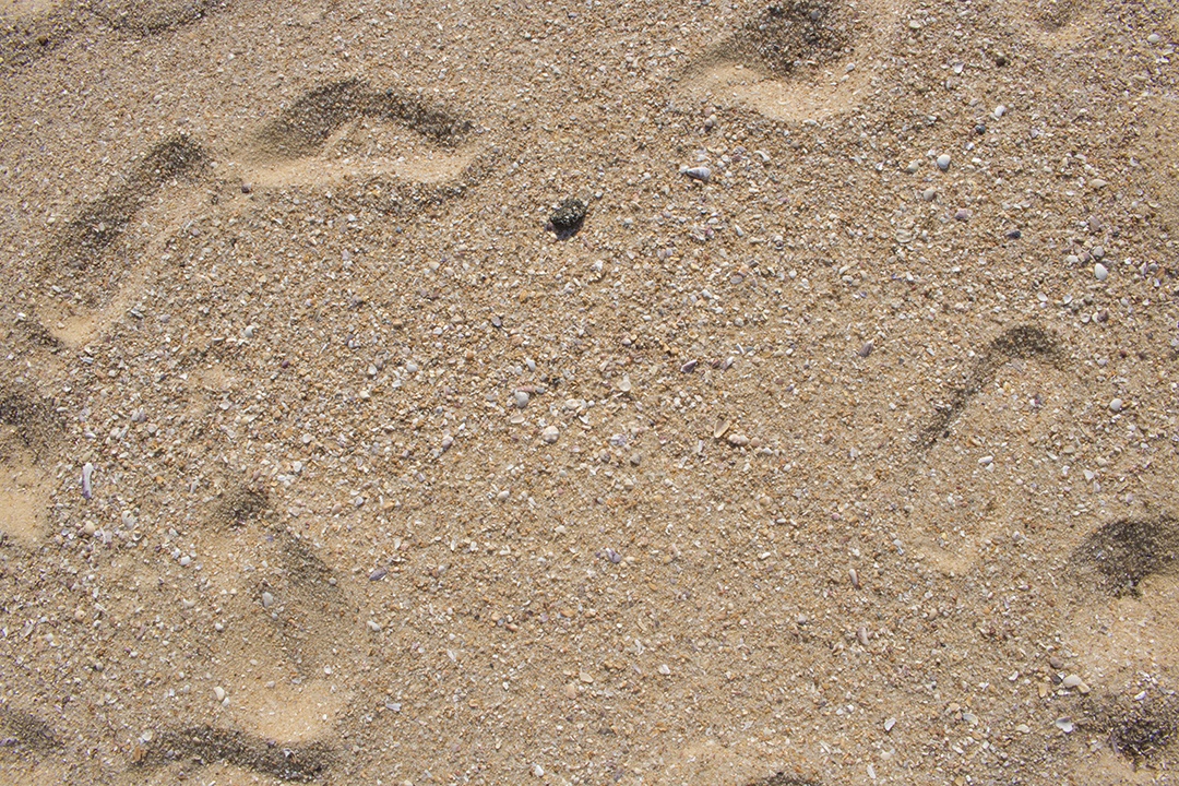 Vista aproximada fundo textura de areia