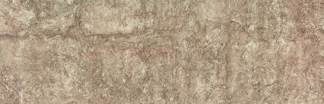 Vista aproximada fundo textura de casca de árvore