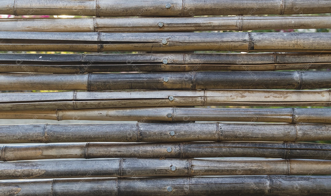 Vista aproximada fundo textura de bambu