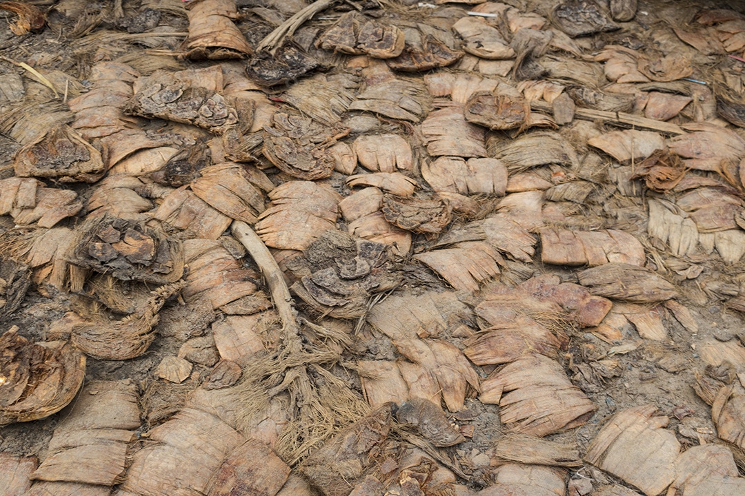 Vista aproximada fundo textura de piso sobre casca de coco