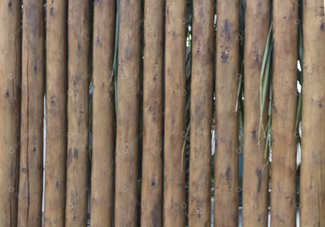 Vista aproximada fundo textura de madeira