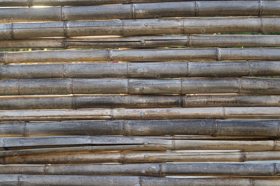 Vista aproximada fundo textura de bambu