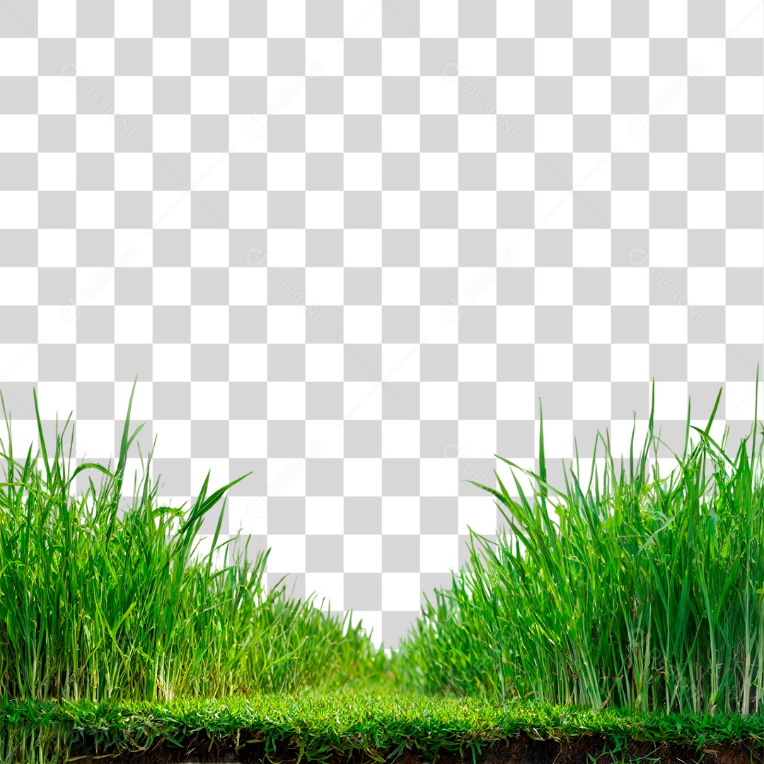 Grama Verdes PNG Transparente