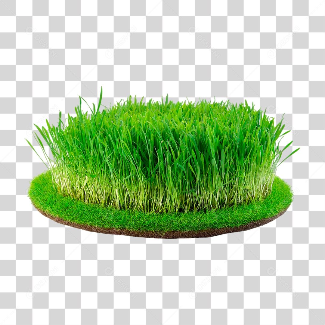Grama Verdes PNG Transparente