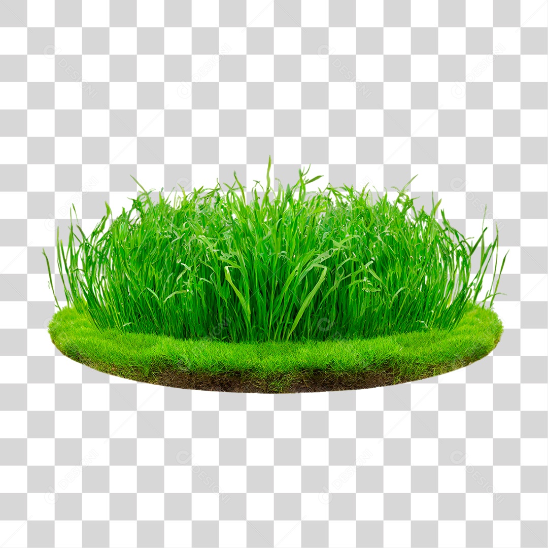 Grama Verdes PNG Transparente