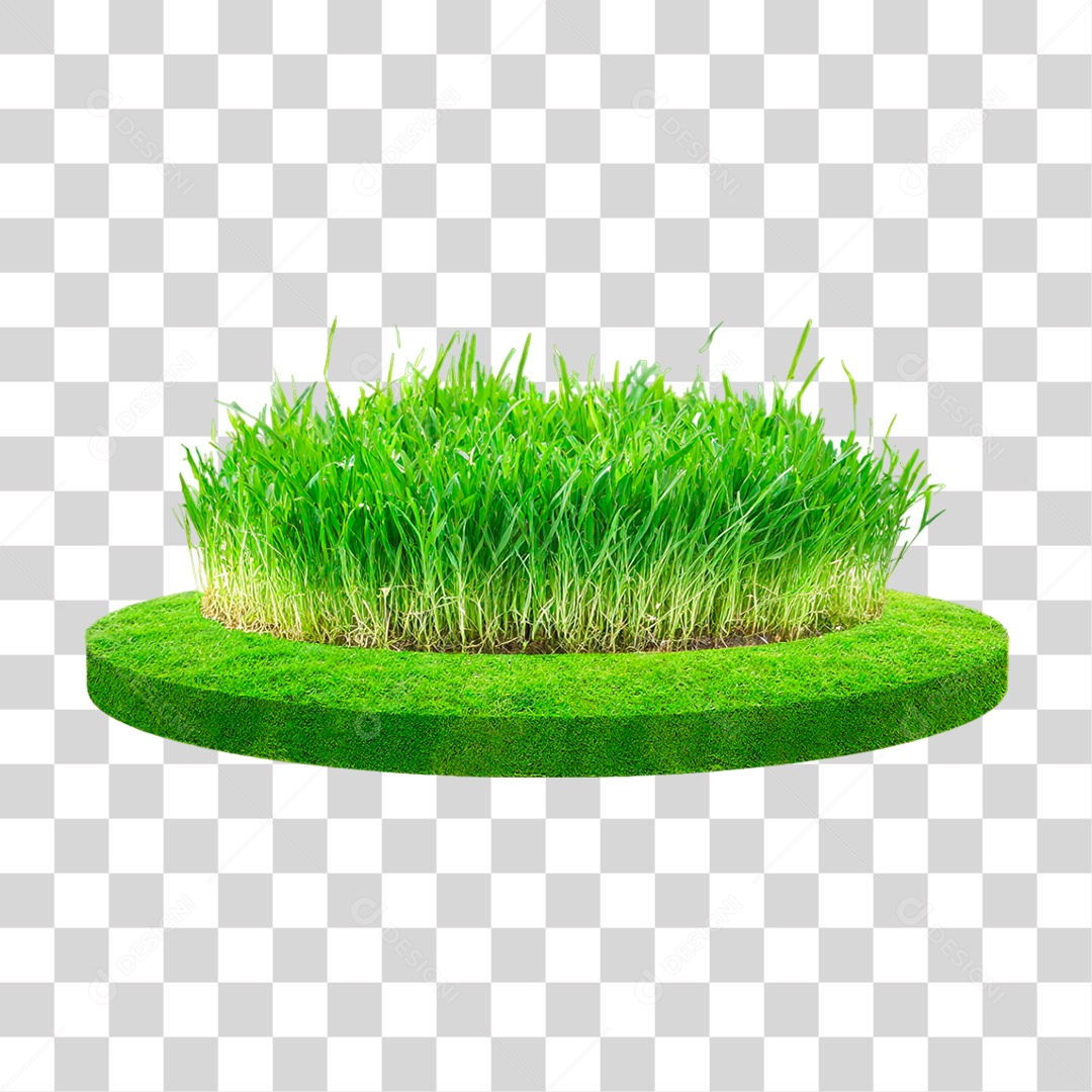 Grama Verdes PNG Transparente