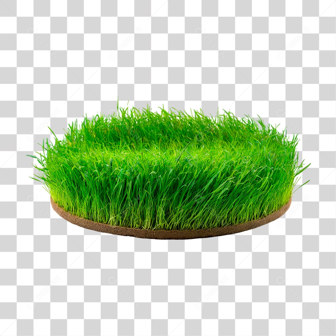 Grama Verdes PNG Transparente