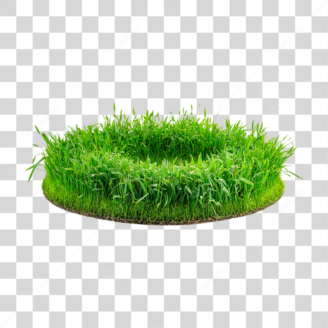 Grama Verdes PNG Transparente