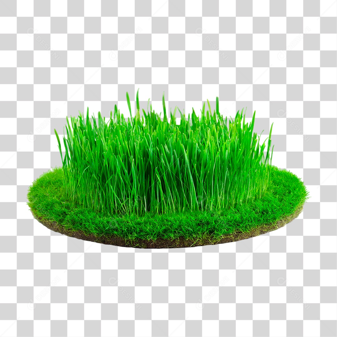 Grama Verdes PNG Transparente