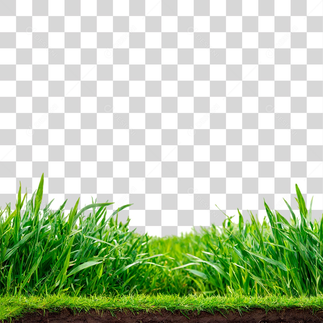 Grama Verdes PNG Transparente