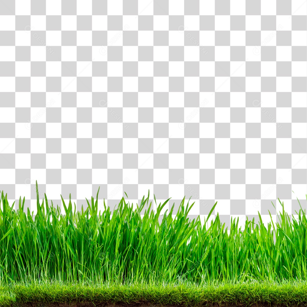 Grama Verdes PNG Transparente