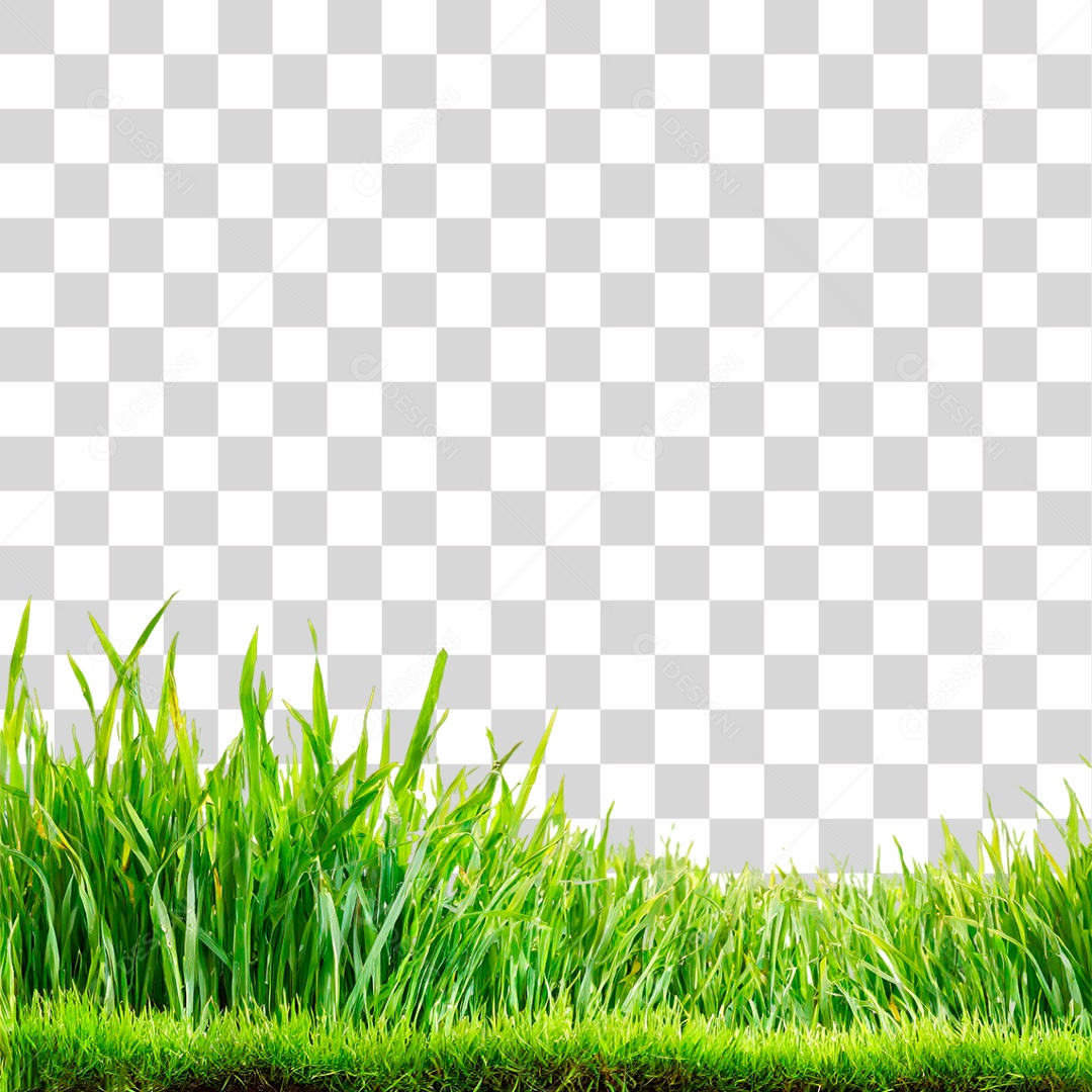 Grama Verde PNG Transparente