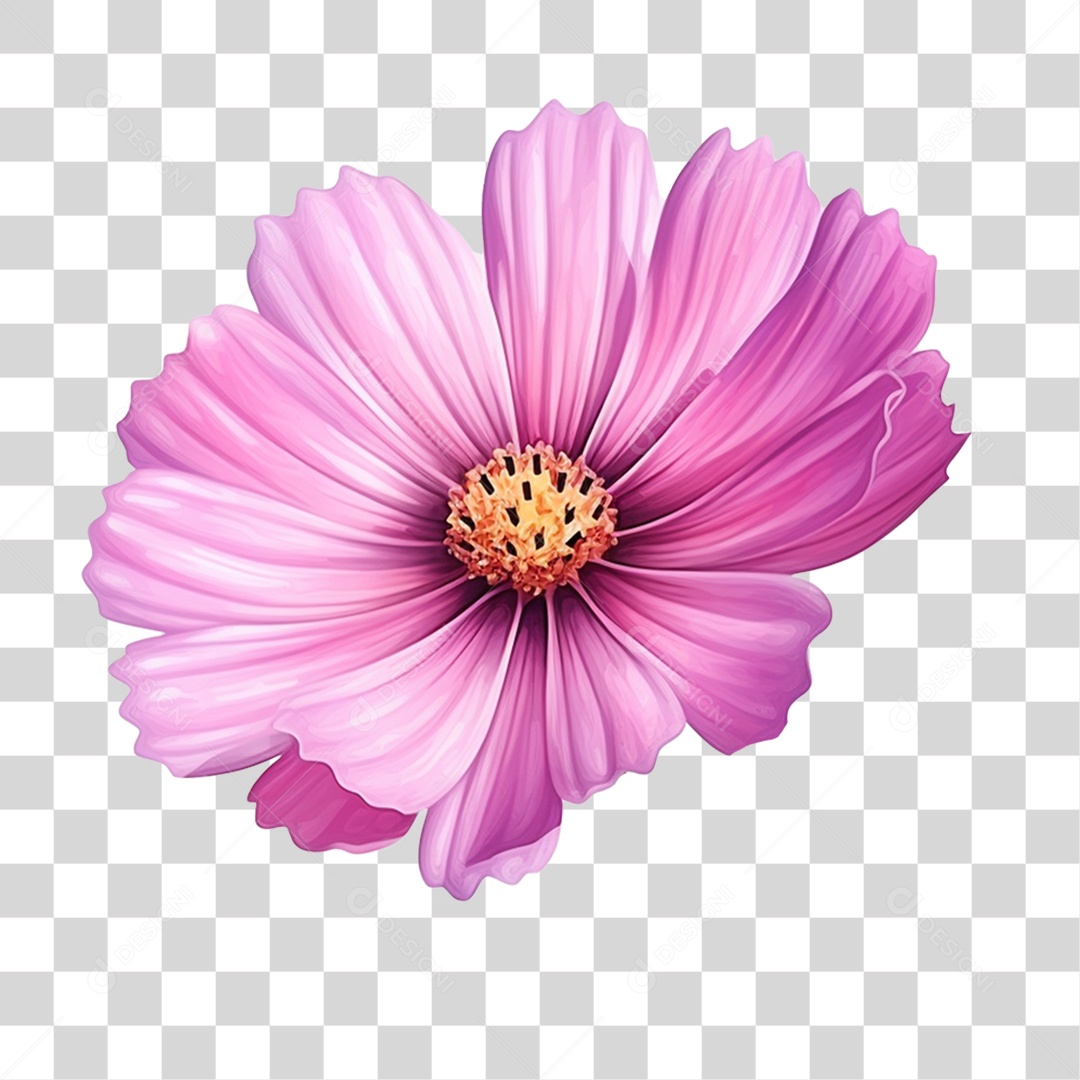 Flores Rosas Plantas PNG Transparente