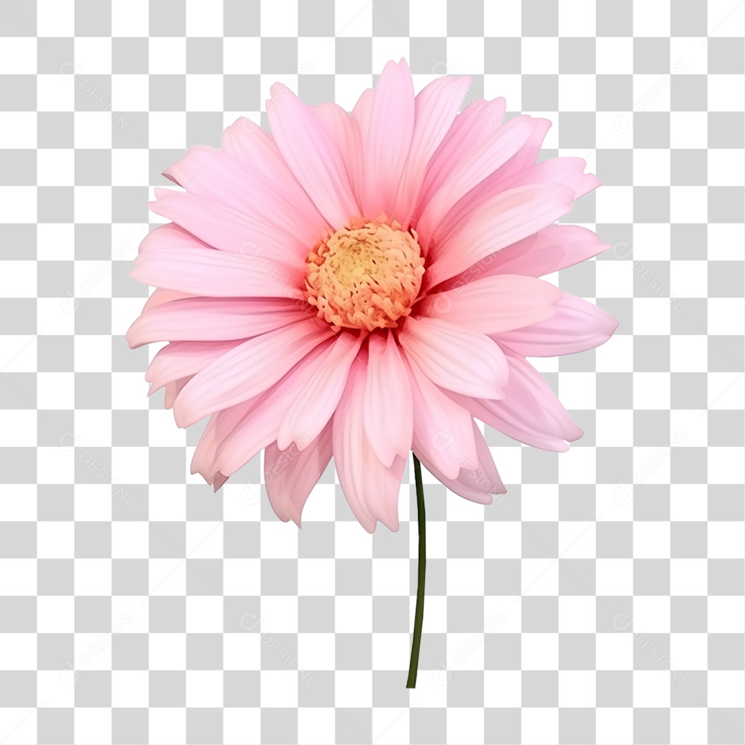 Flores Rosas Plantas PNG Transparente