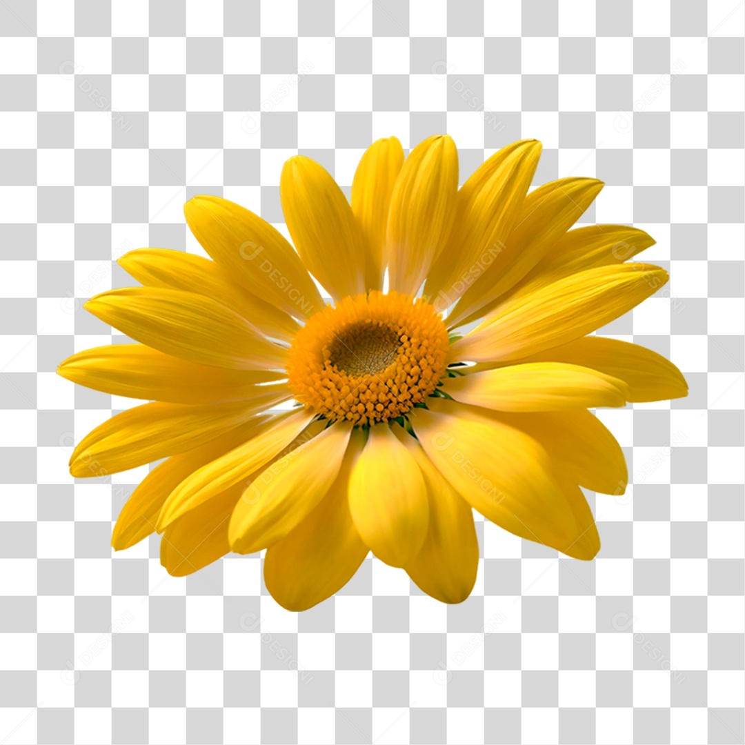 Flor Amarela PNG Transparente