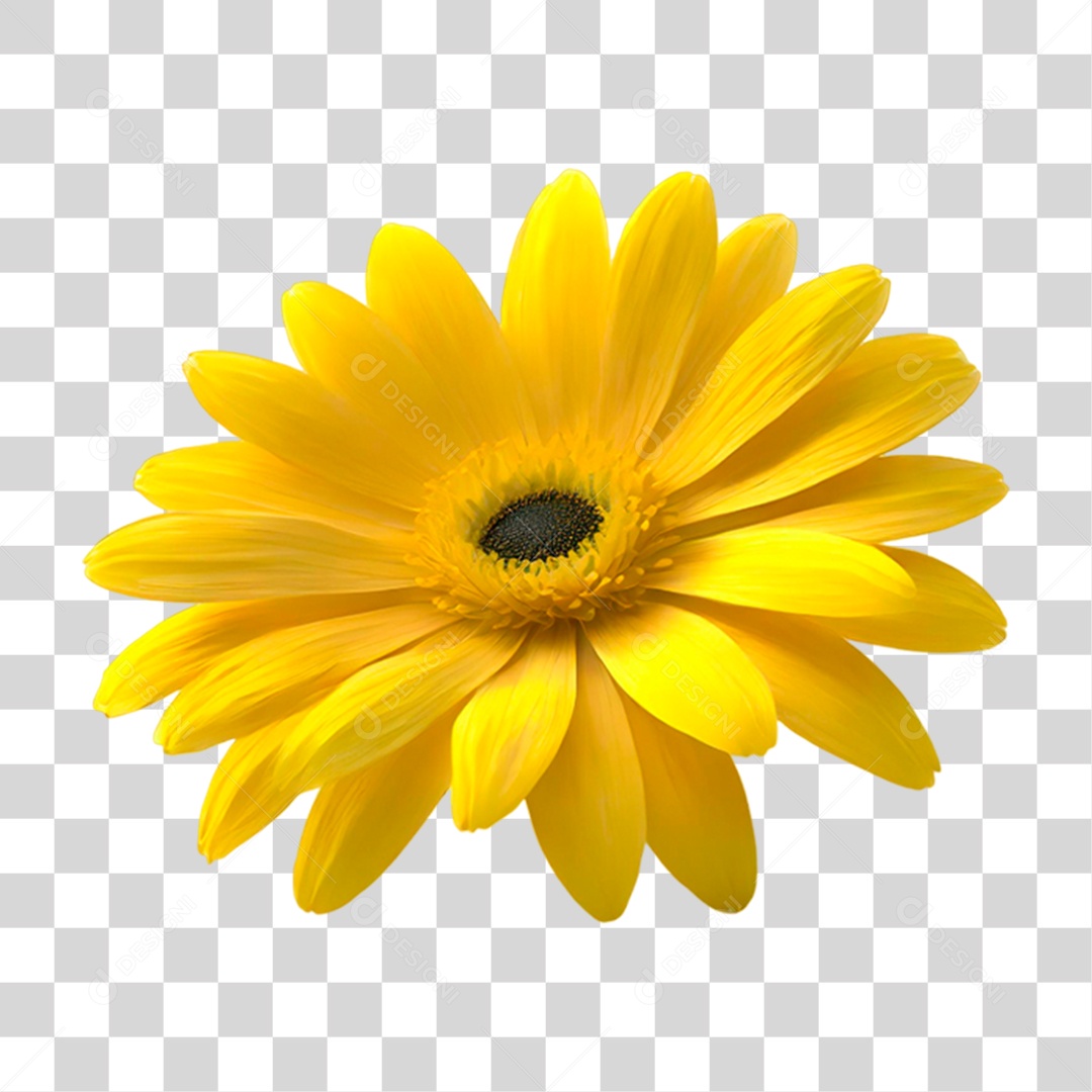 Flor Amarela PNG Transparente