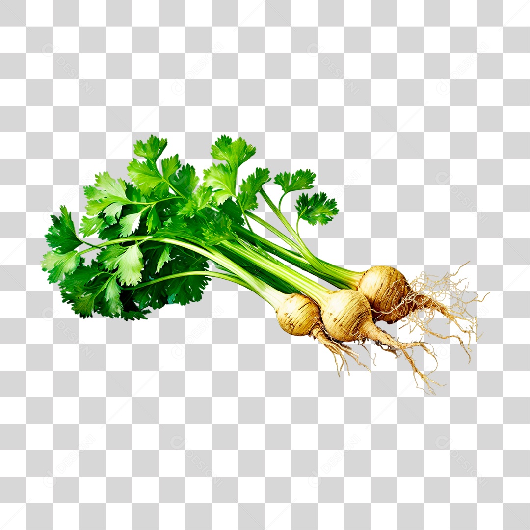 Coentro Verde PNG Transparente