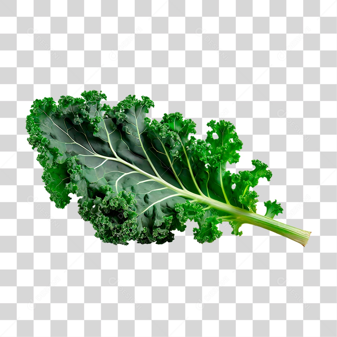 Folha de Couve PNG Transparente