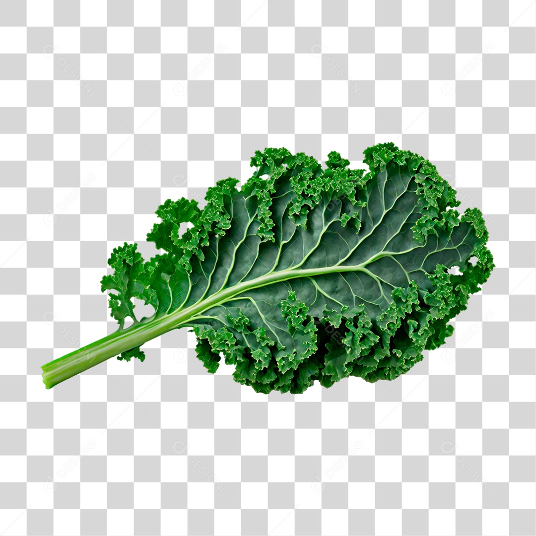 Folha de Couve PNG Transparente