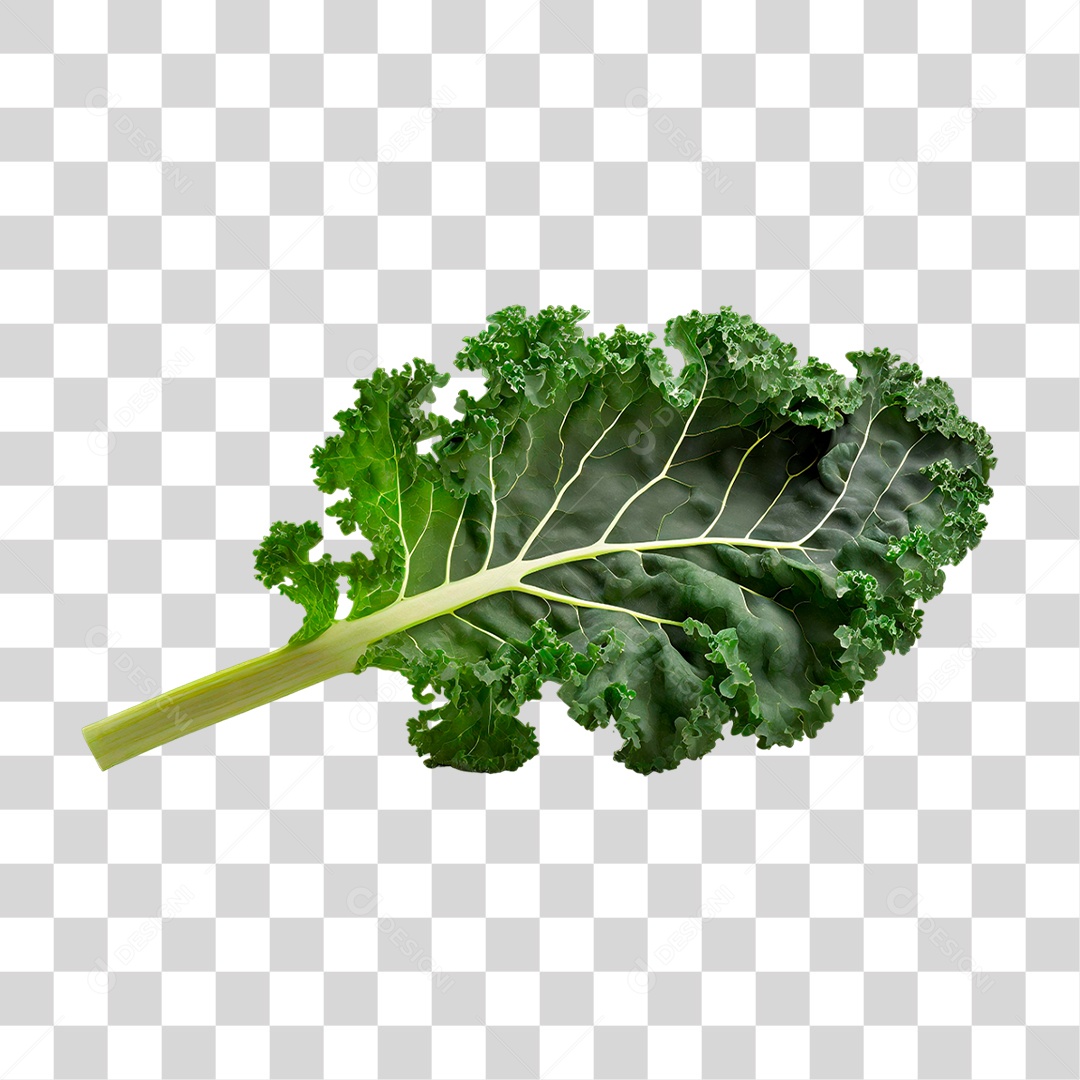 Folha de Couve PNG Transparente