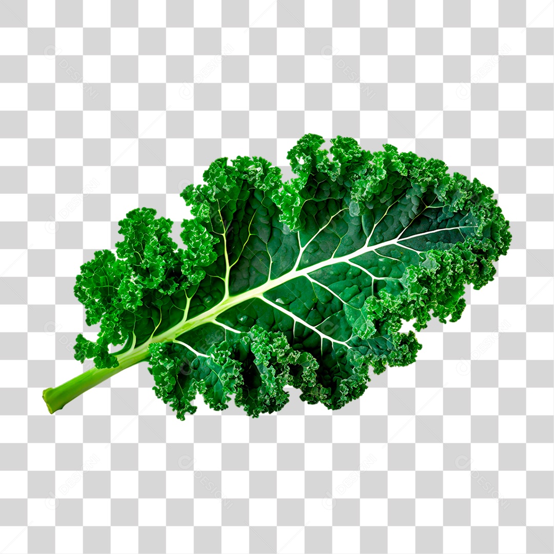 Folha de Couve PNG Transparente