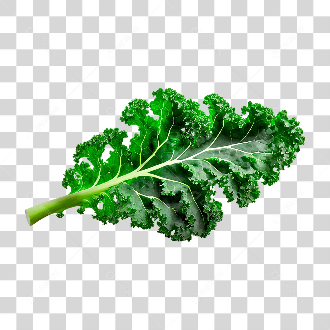 Folha de Couve PNG Transparente