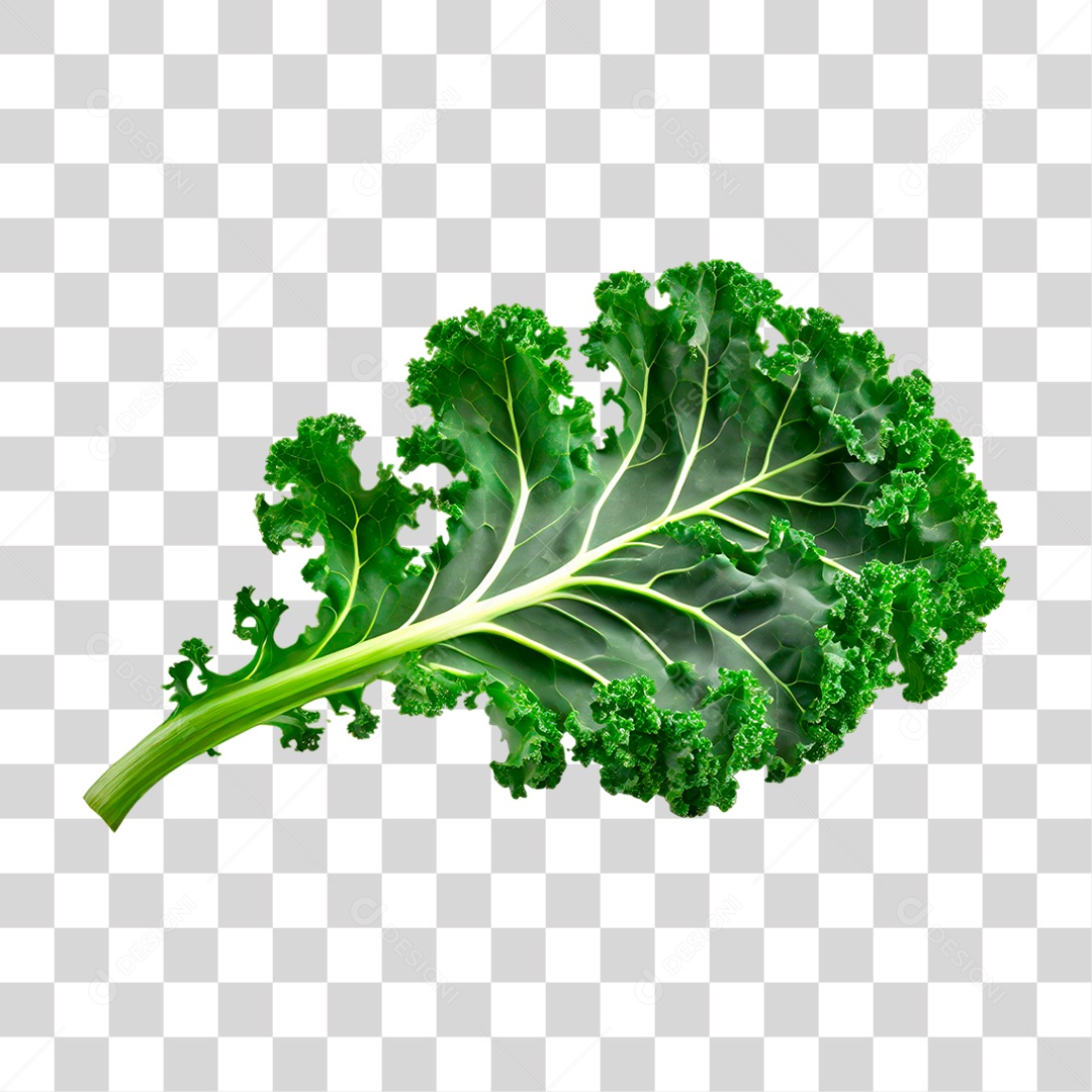 Folha de Couve PNG Transparente