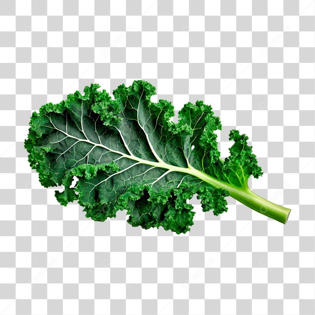 Folha de Couve PNG Transparente