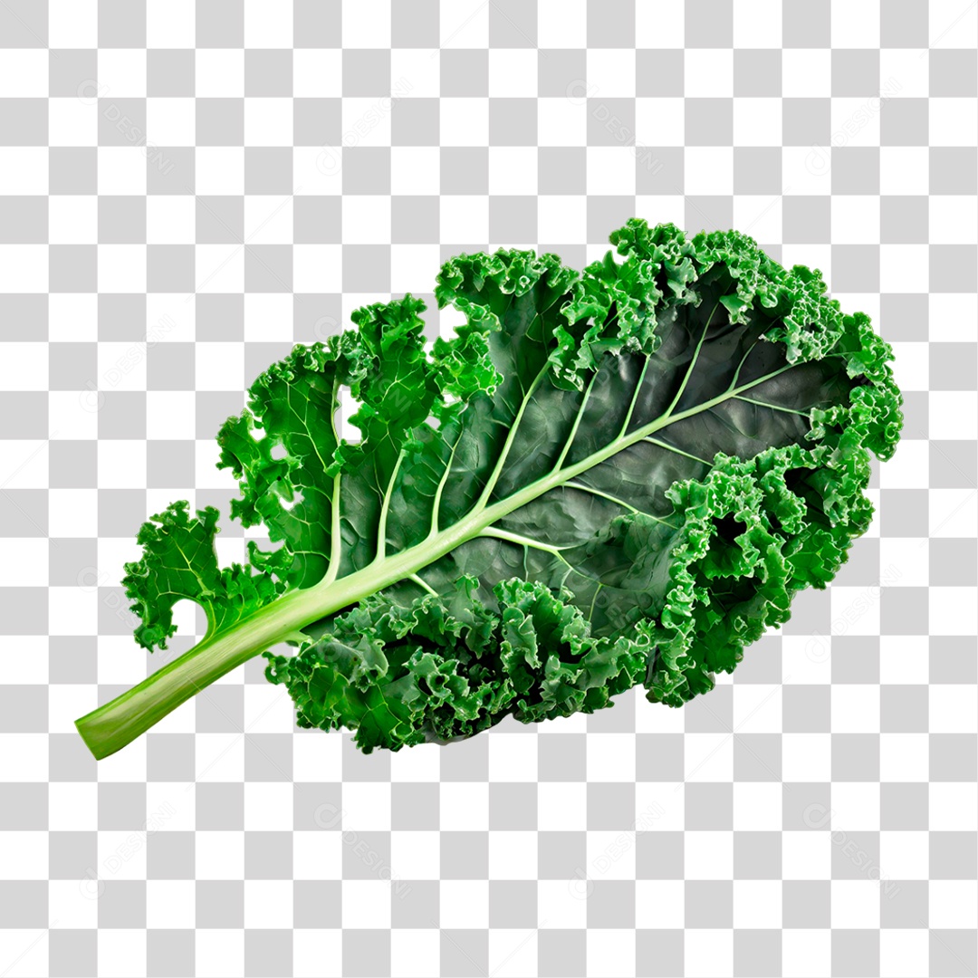 Folha de Couve PNG Transparente