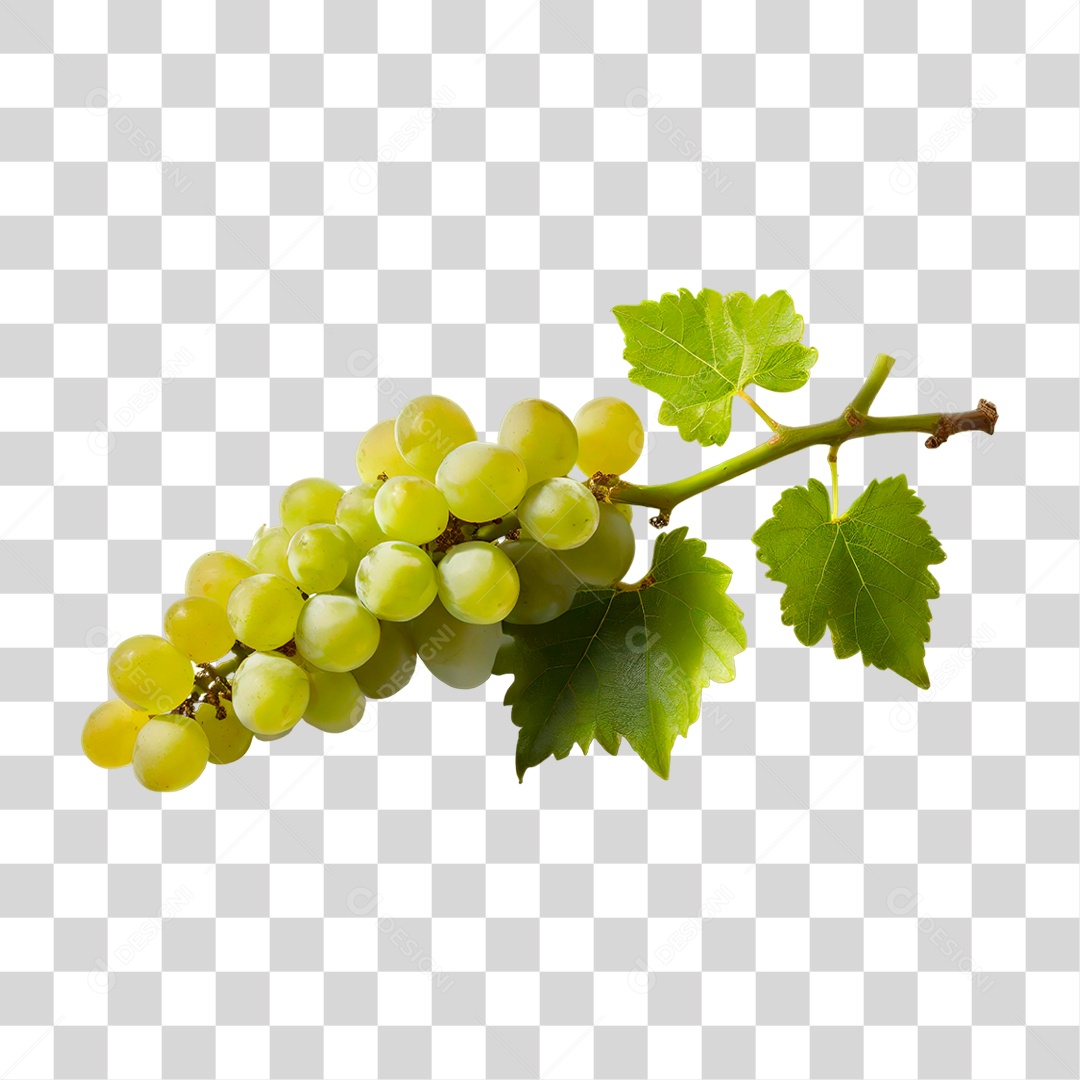 Cacho de Uva Verde PNG Transparente