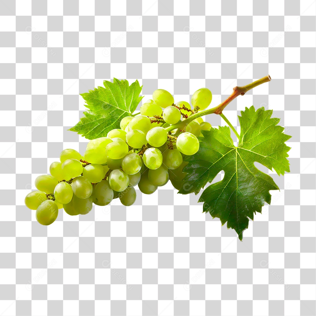 Cacho de Uva Verde PNG Transparente