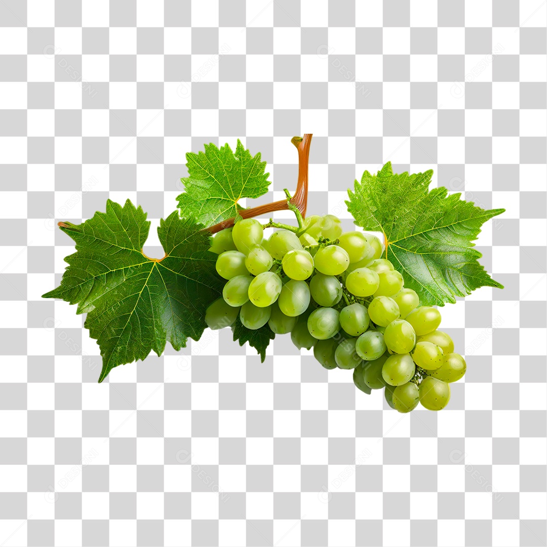 Cacho de Uva Verde PNG Transparente