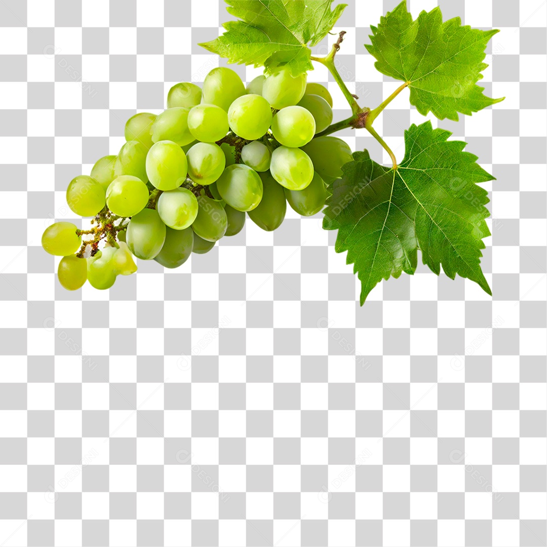 Cacho de Uva Verde PNG Transparente
