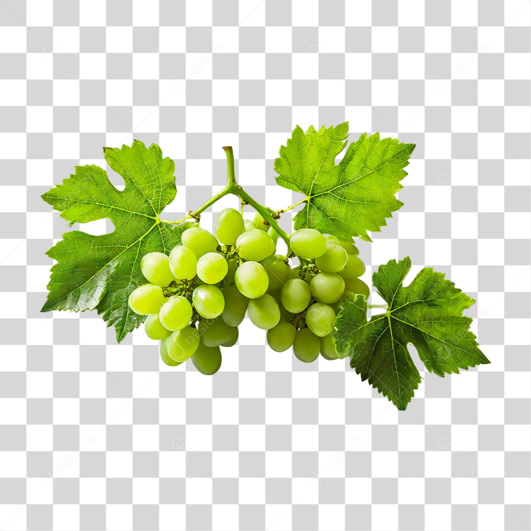 Cacho de Uva Verde PNG Transparente