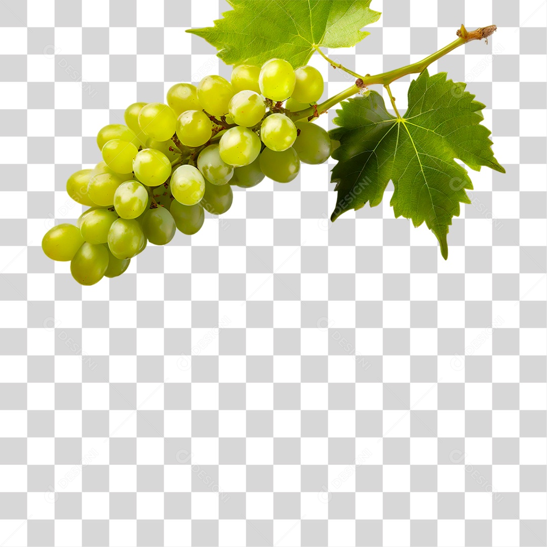 Cacho de Uva Verde PNG Transparente