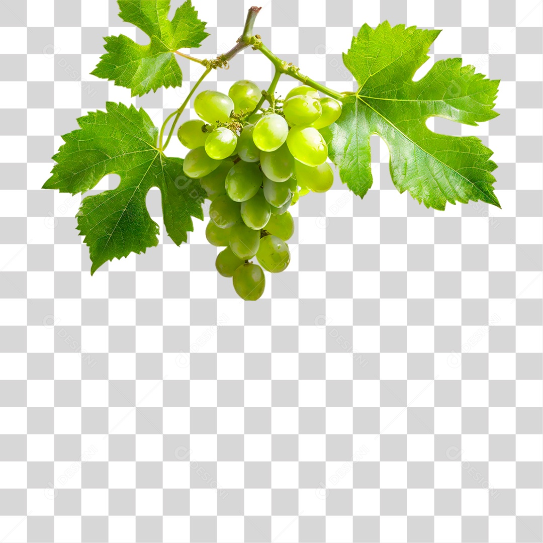 Cacho de Uva Verde PNG Transparente