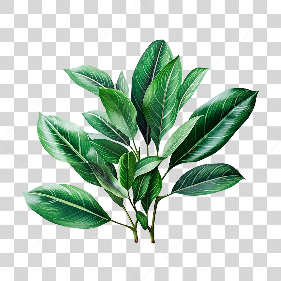 Planta Bananeira PNG Transparente