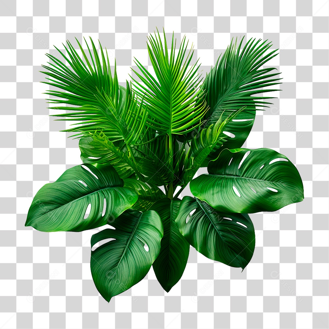 Planta Bananeira PNG Transparente