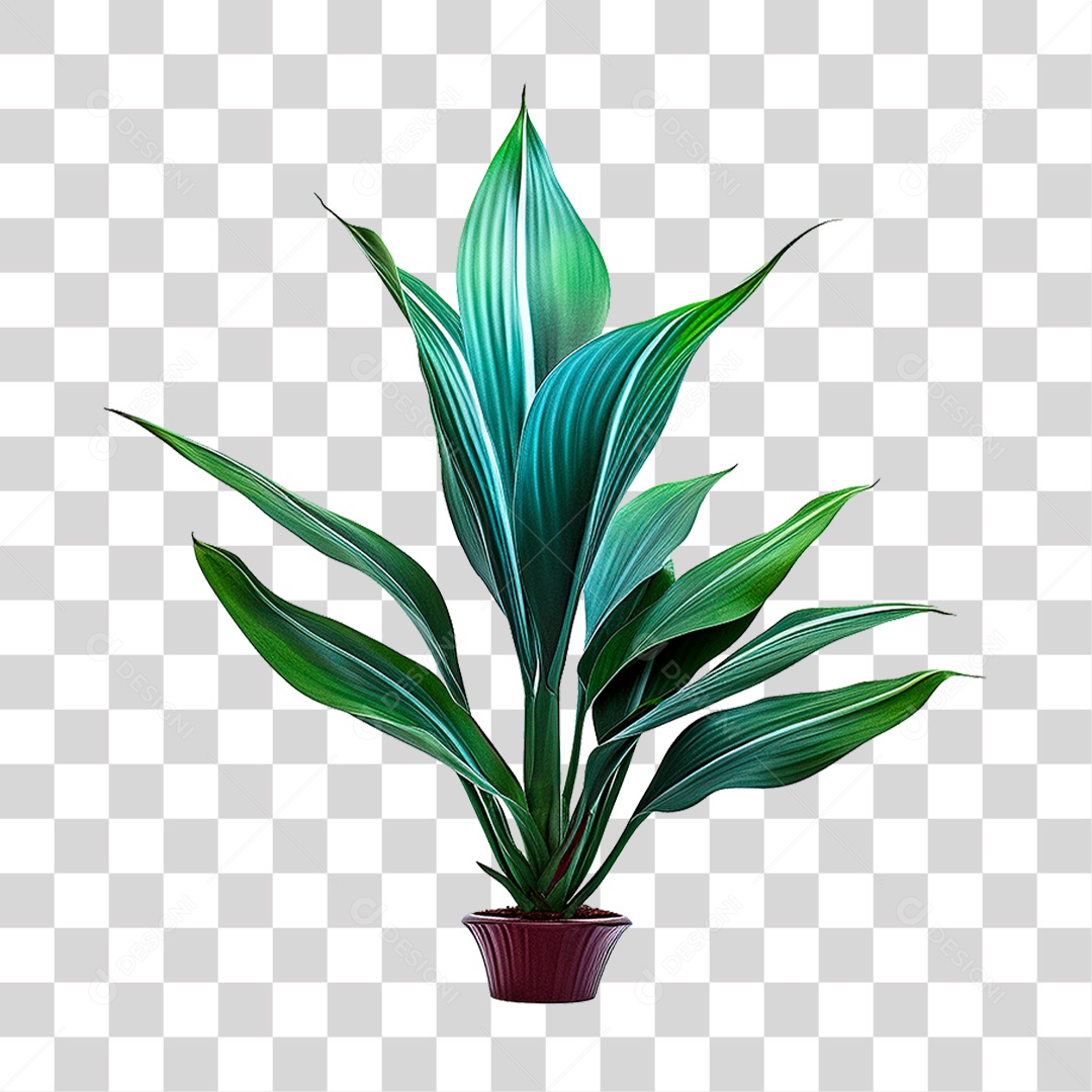 Planta Tropical PNG Transparente