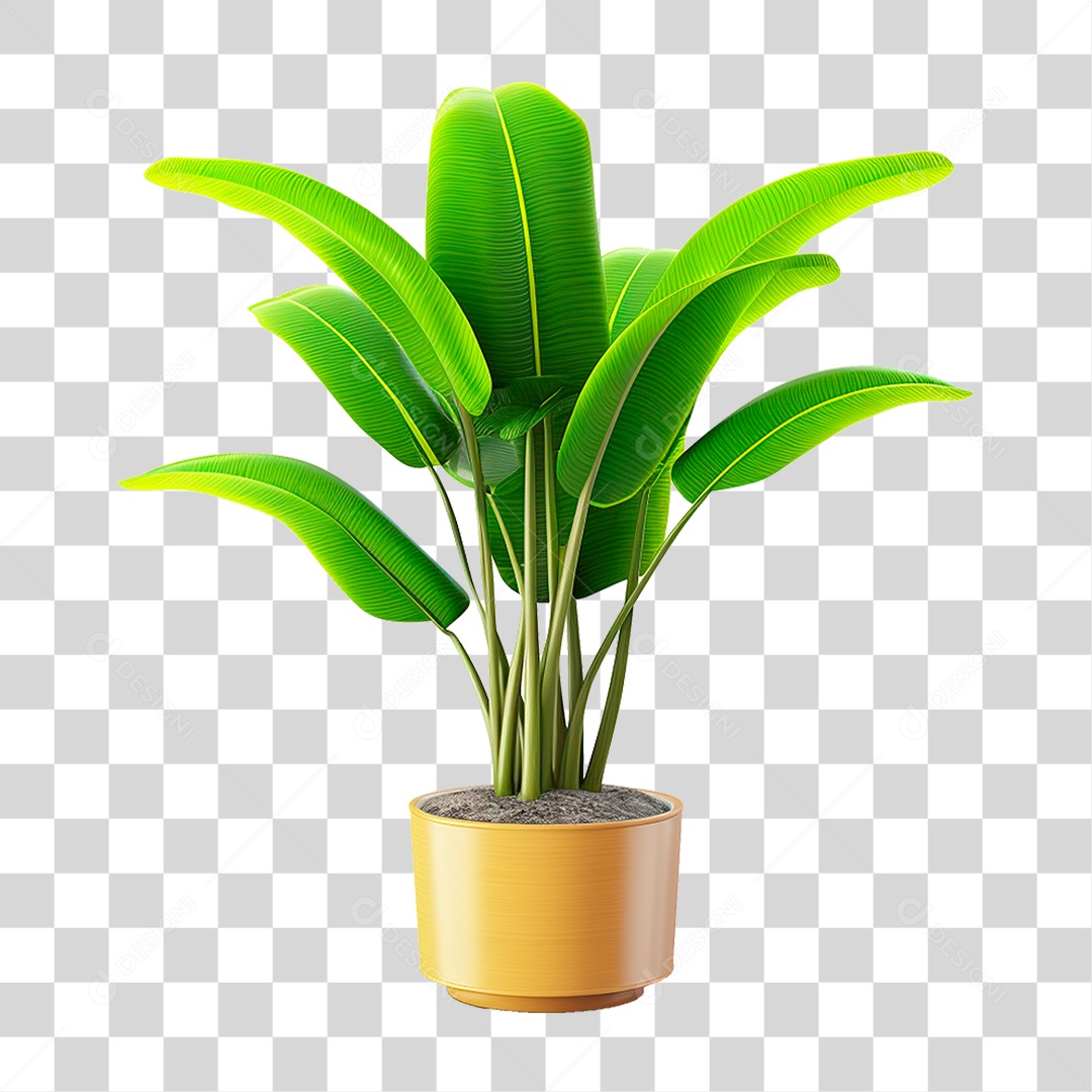 Planta Bananeira em Vaso PNG Transparente