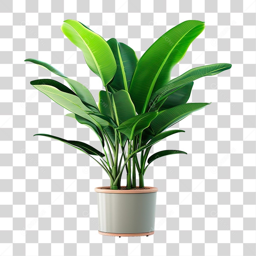 Planta Tropical PNG Transparente