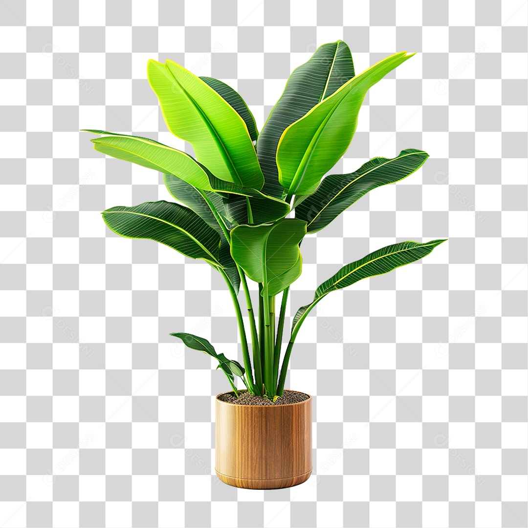 Planta Bananeira em Vaso PNG Transparente