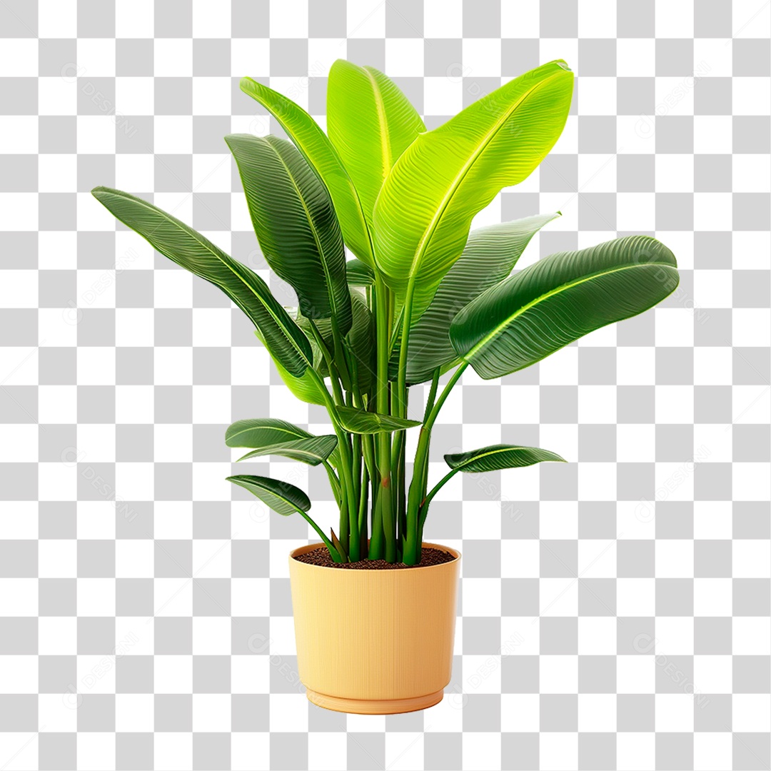 Planta Tropical PNG Transparente