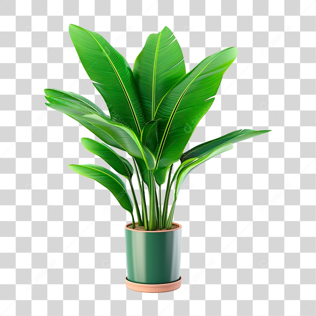 Planta Tropical PNG Transparente