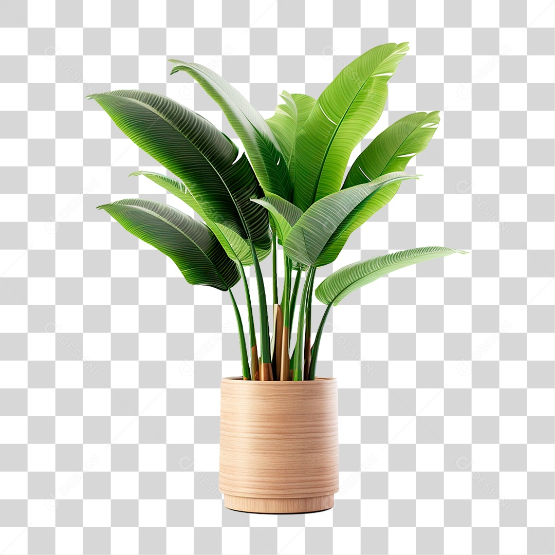 Planta Tropical PNG Transparente