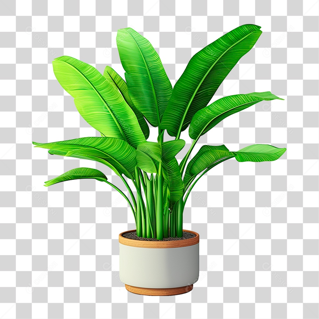 Planta Tropical PNG Transparente