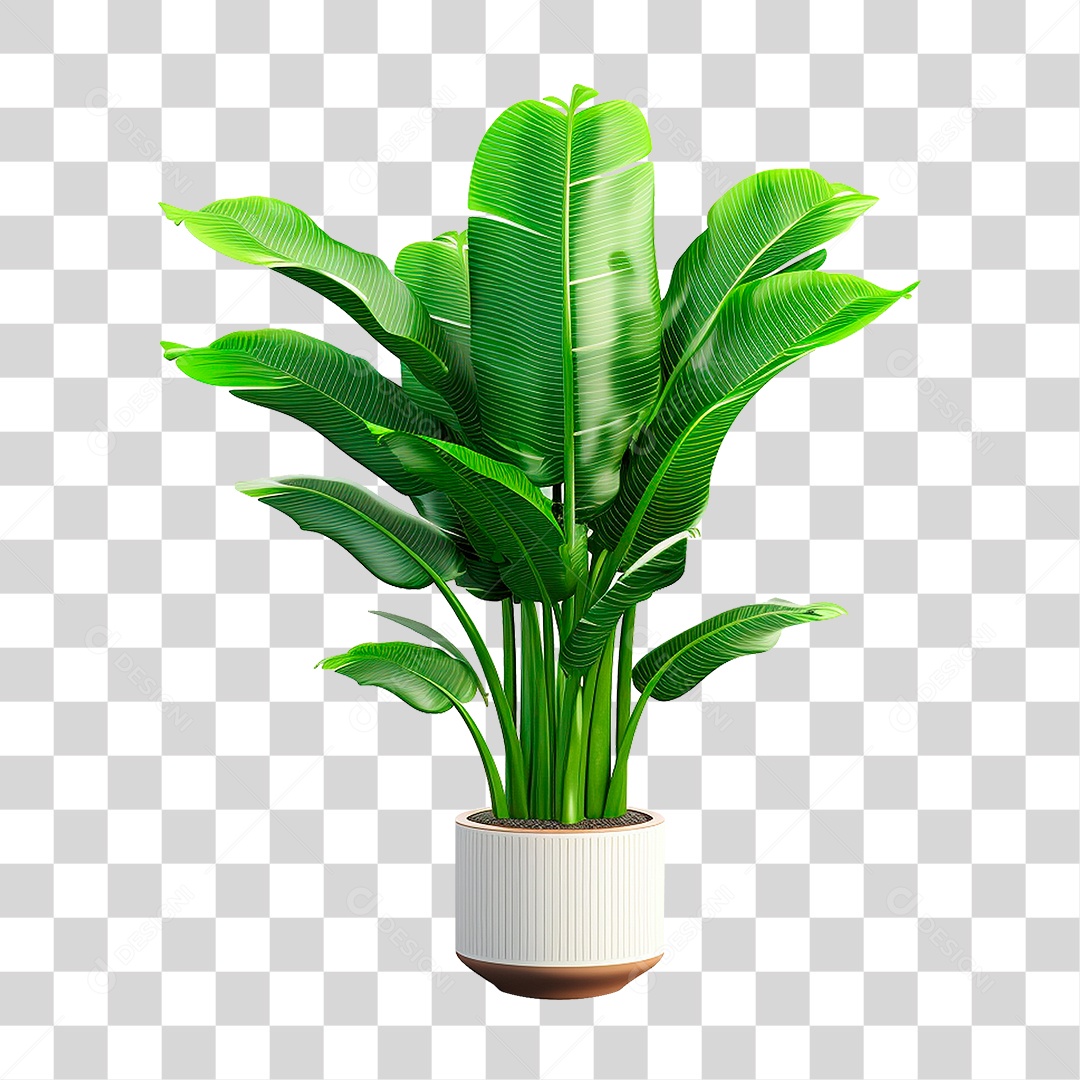 Planta Tropical PNG Transparente