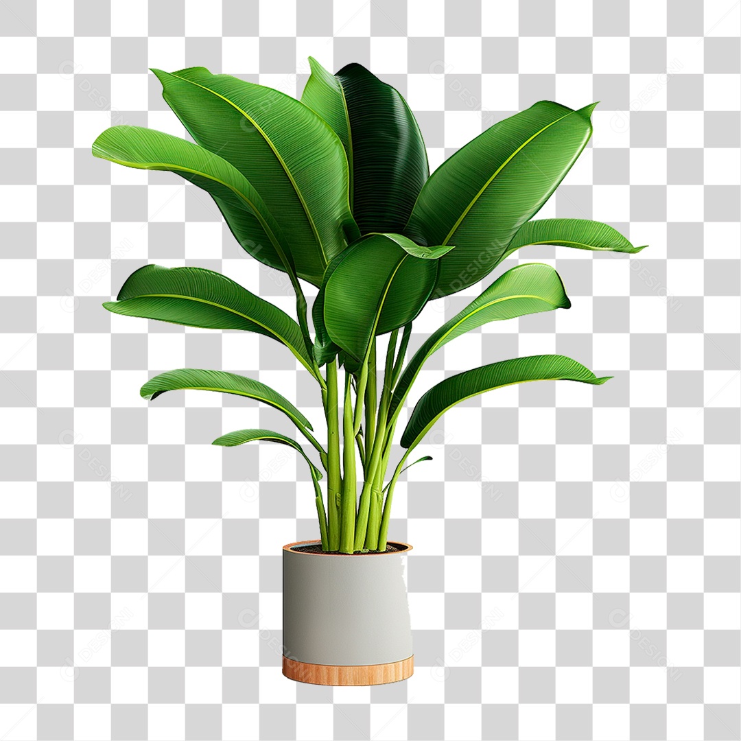 Planta Tropical PNG Transparente